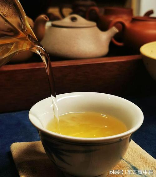 普洱茶基本知识之十:什么是高海拔普洱茶?其特点及成因分析