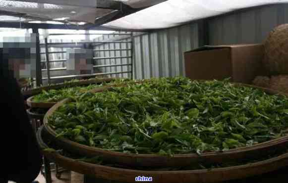 云南益璞老普洱熟茶-云南益普香普洱茶厂
